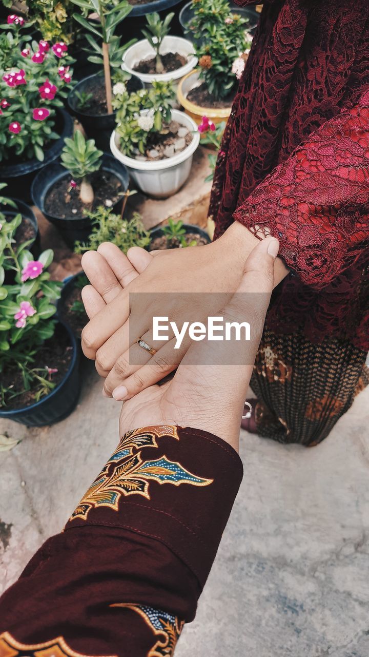 HIGH ANGLE VIEW OF WOMAN HAND HOLDING POTTED PLANTS