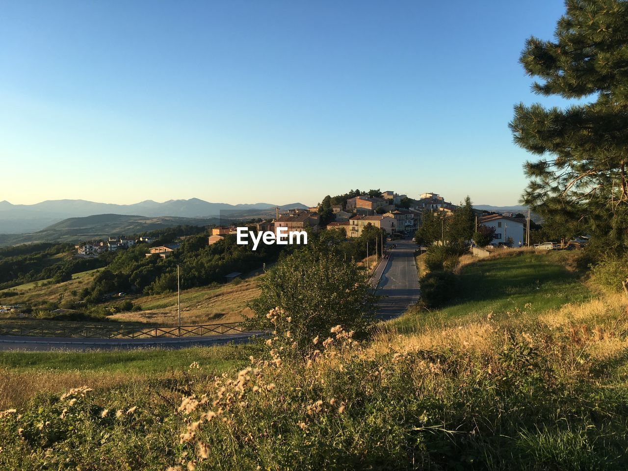 Scenic view of landscape against clear sky