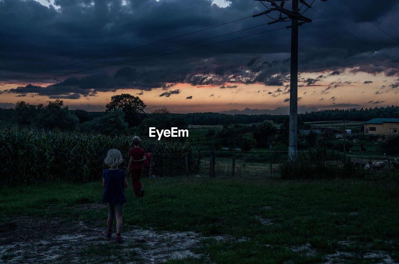 Rear view of friends on field against cloudy sky during sunset