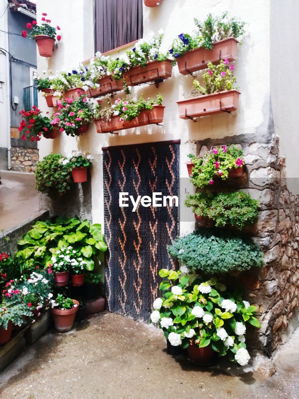 POTTED PLANTS AGAINST BUILDING