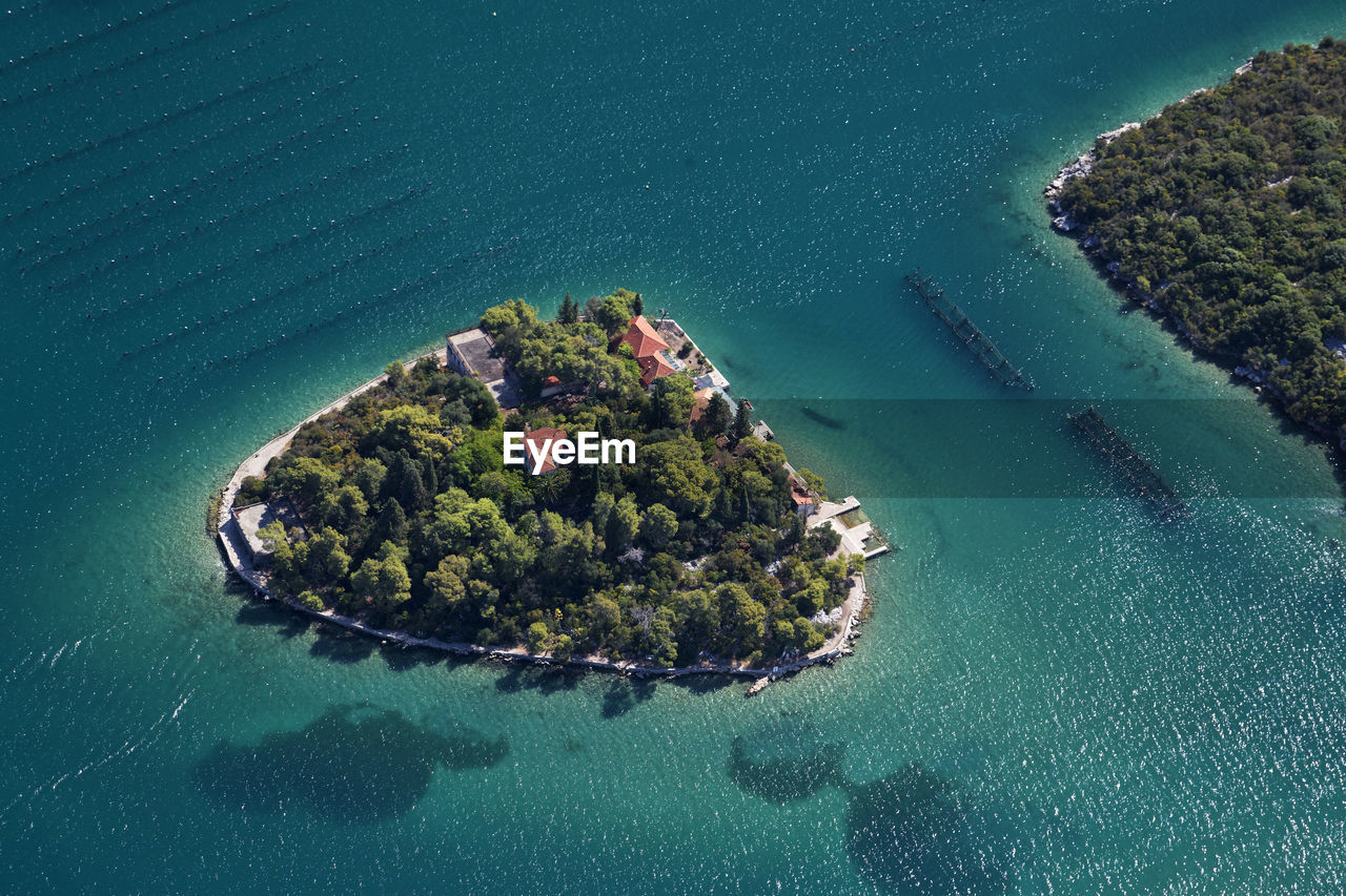 High angle view of trees by sea