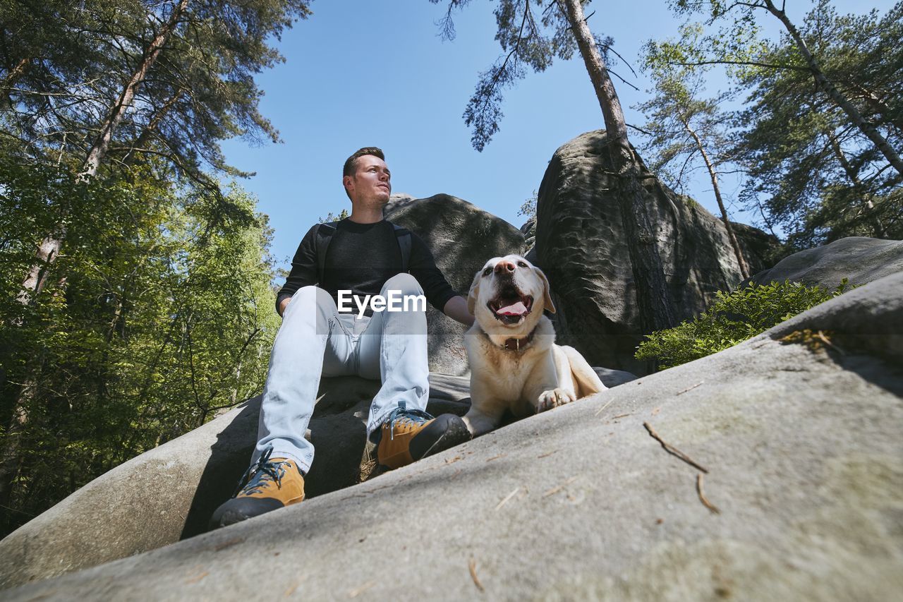 PORTRAIT OF DOG SITTING AGAINST TREES