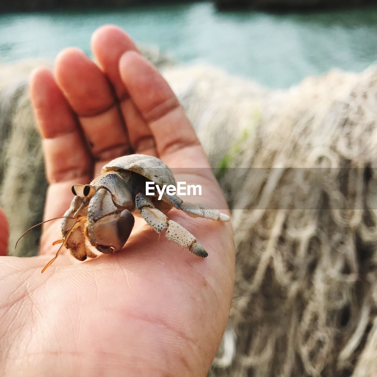 CLOSE-UP OF HUMAN HAND HOLDING LEAF