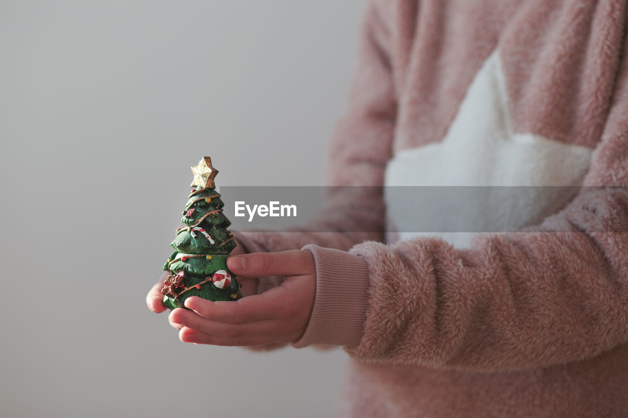 Close-up of hand holding christmas tree