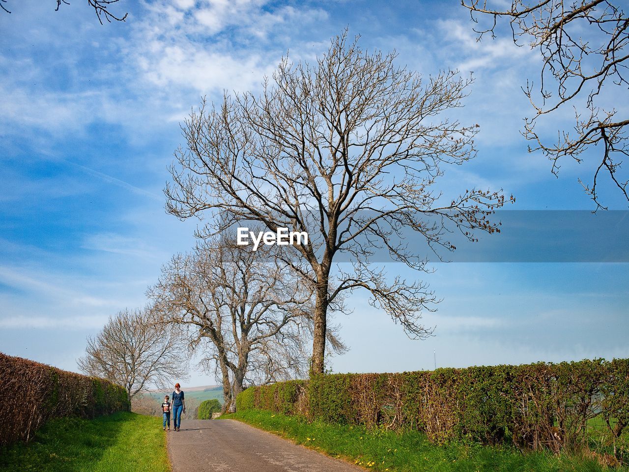 Woman and boy walking on road by bare trees against sky