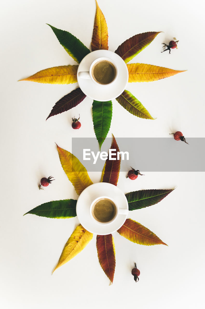 Directly above shot of coffee cups amidst leaves on white background