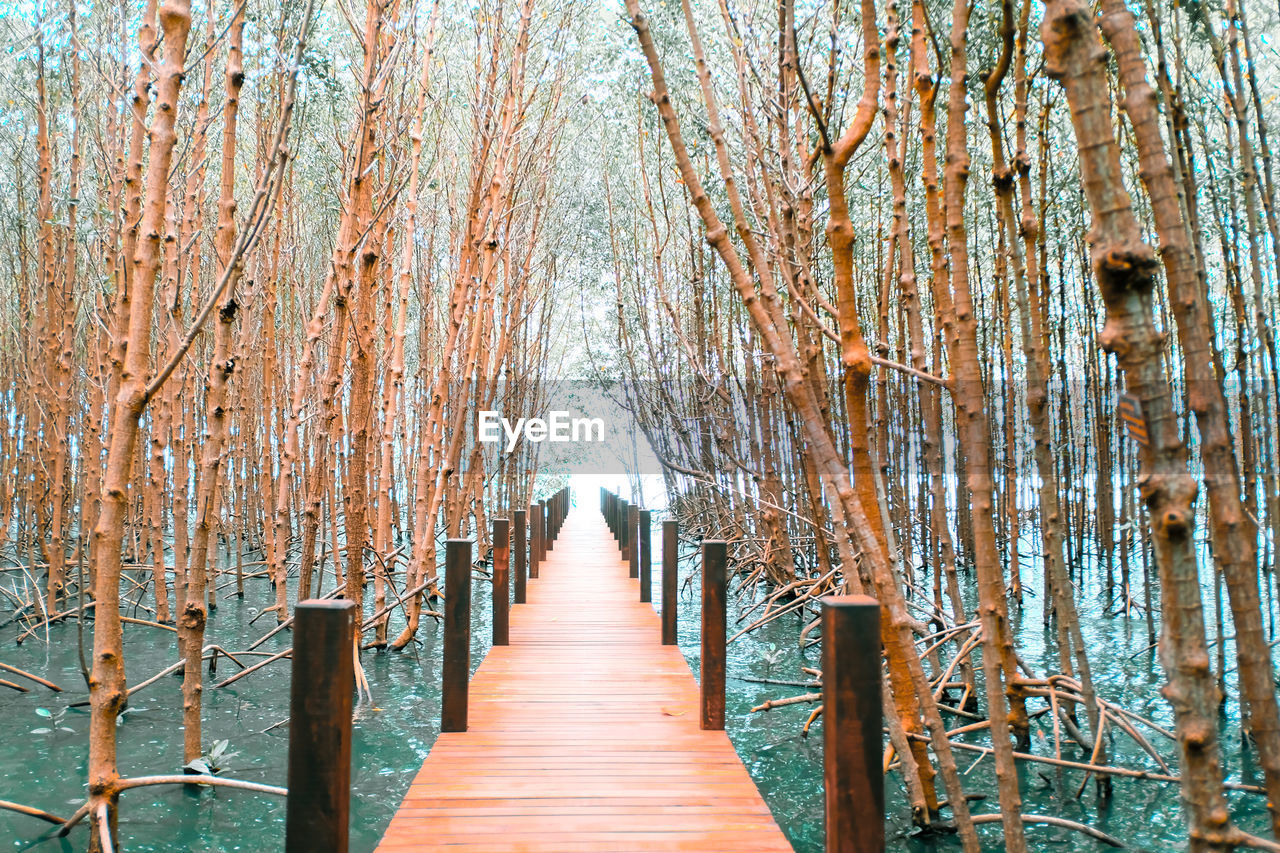 NARROW WOODEN FOOTBRIDGE ALONG TREES