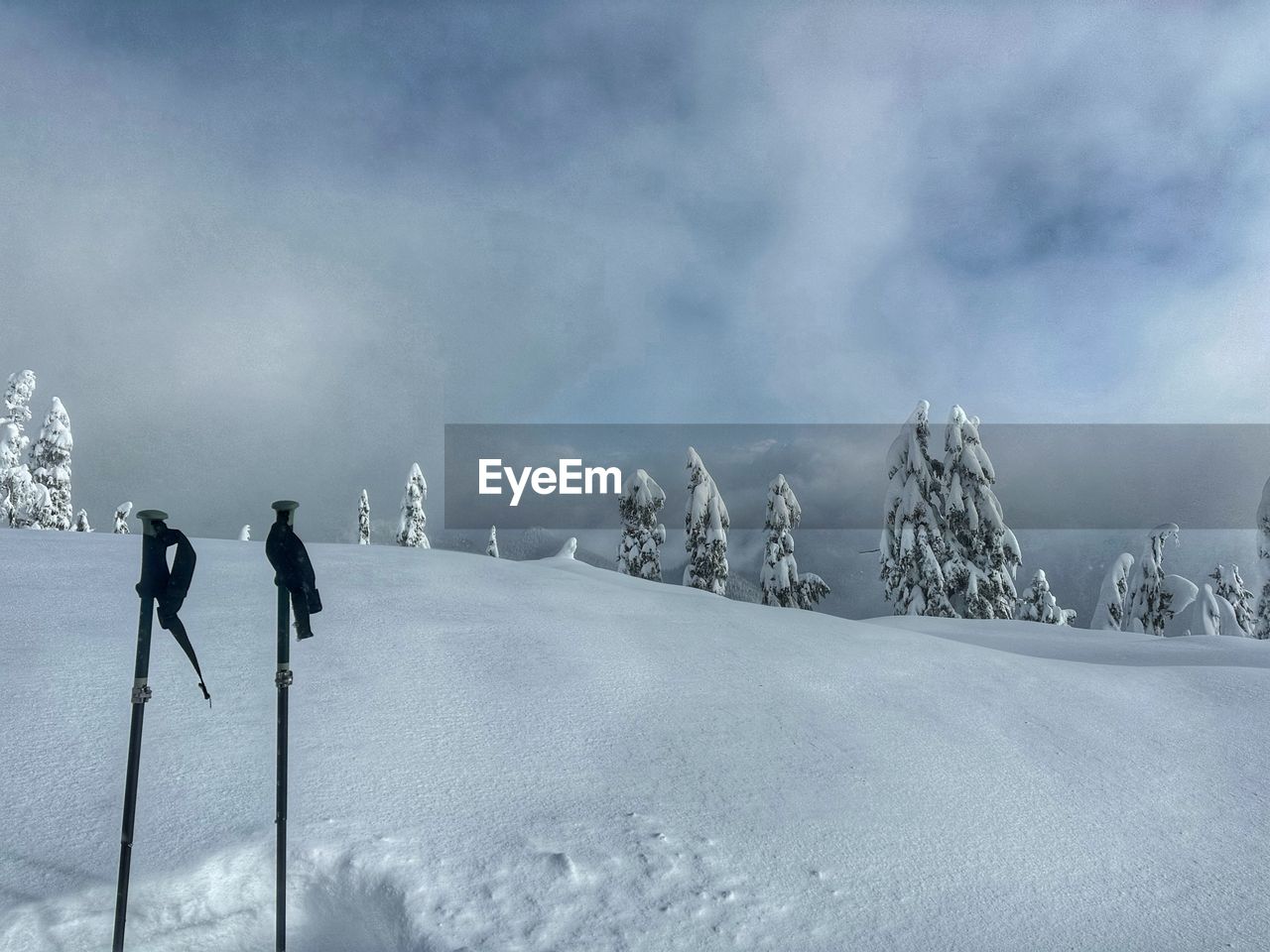 winter, snow, cold temperature, environment, mountain, nature, sky, landscape, scenics - nature, cloud, beauty in nature, skiing, tree, ski, holiday, forest, land, footwear, winter sports, sports, ski equipment, storm, vacation, plant, non-urban scene, piste, travel, frozen, leisure activity, trip, tranquil scene, mountain range, adventure, overcast, fog, coniferous tree, travel destinations, white, tranquility, pine tree, snowing, day, outdoors, pine woodland, snowcapped mountain, sports equipment, extreme weather, pinaceae, ski holiday, ski touring, activity, panoramic