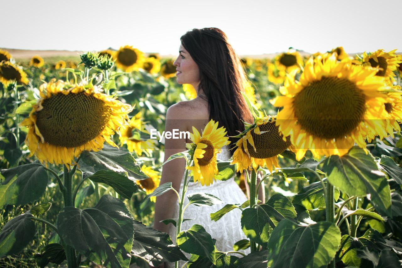 Young woman amidst sunflowers in field