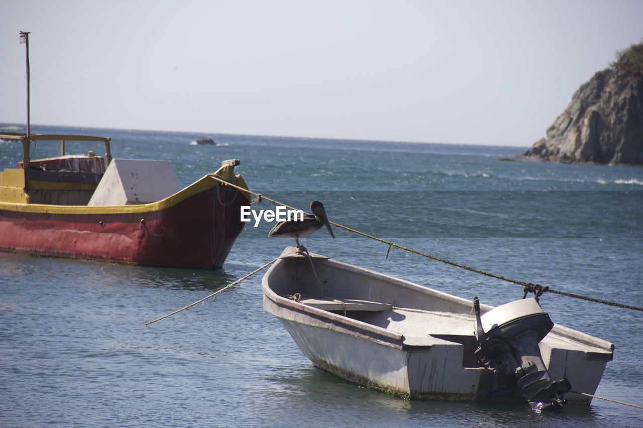 Side view of pelican perching on boat at sea