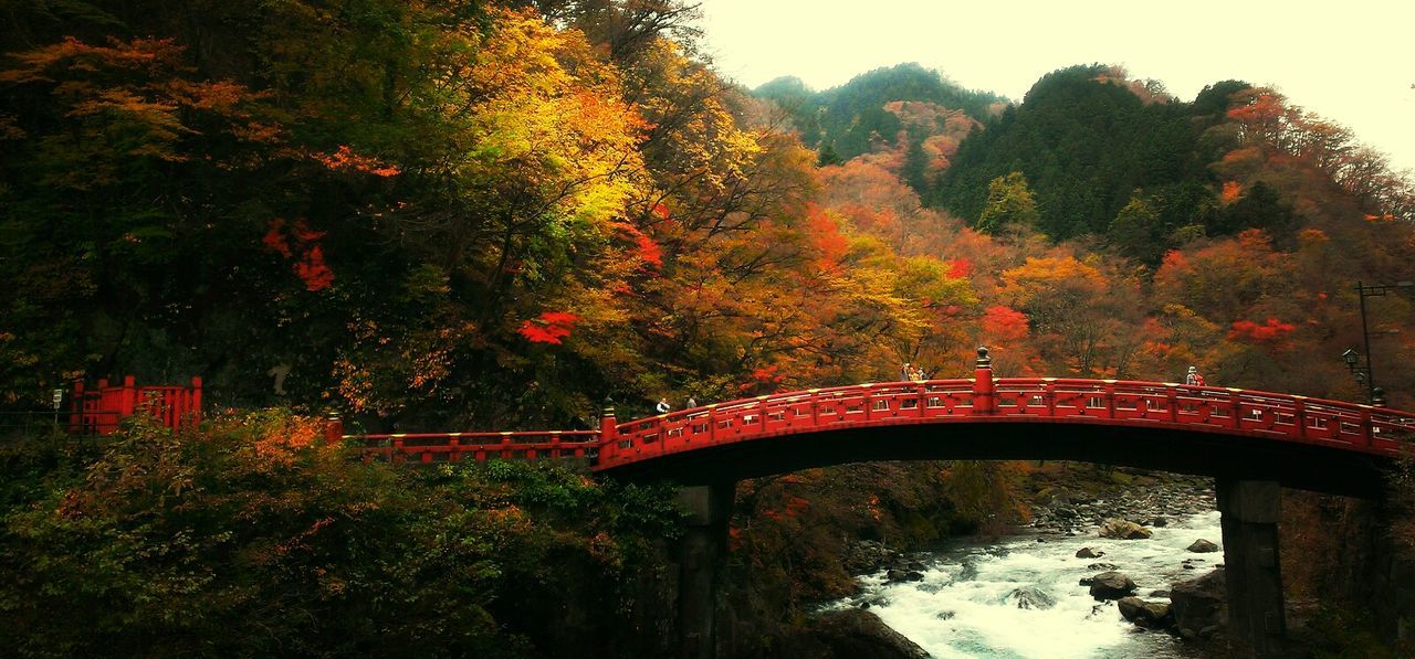 FOOTBRIDGE OVER RIVER