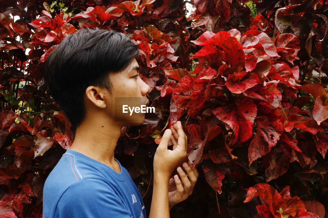 Portrait of young man standing by acalypha leaves during autumn
