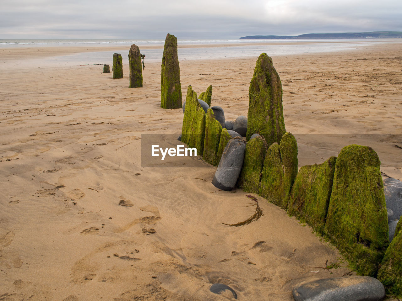 Scenic view of beach