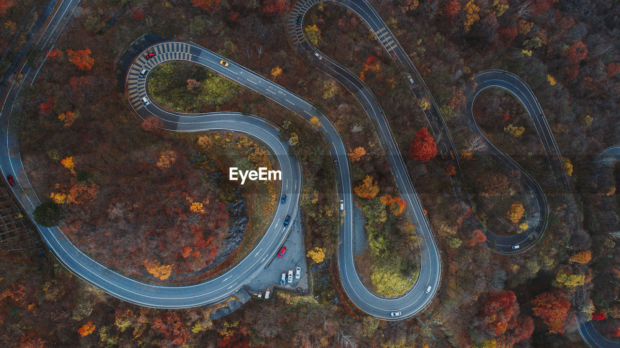 HIGH ANGLE VIEW OF BICYCLE ON ROAD DURING AUTUMN