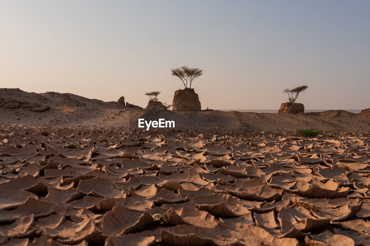 SCENIC VIEW OF DESERT AGAINST SKY