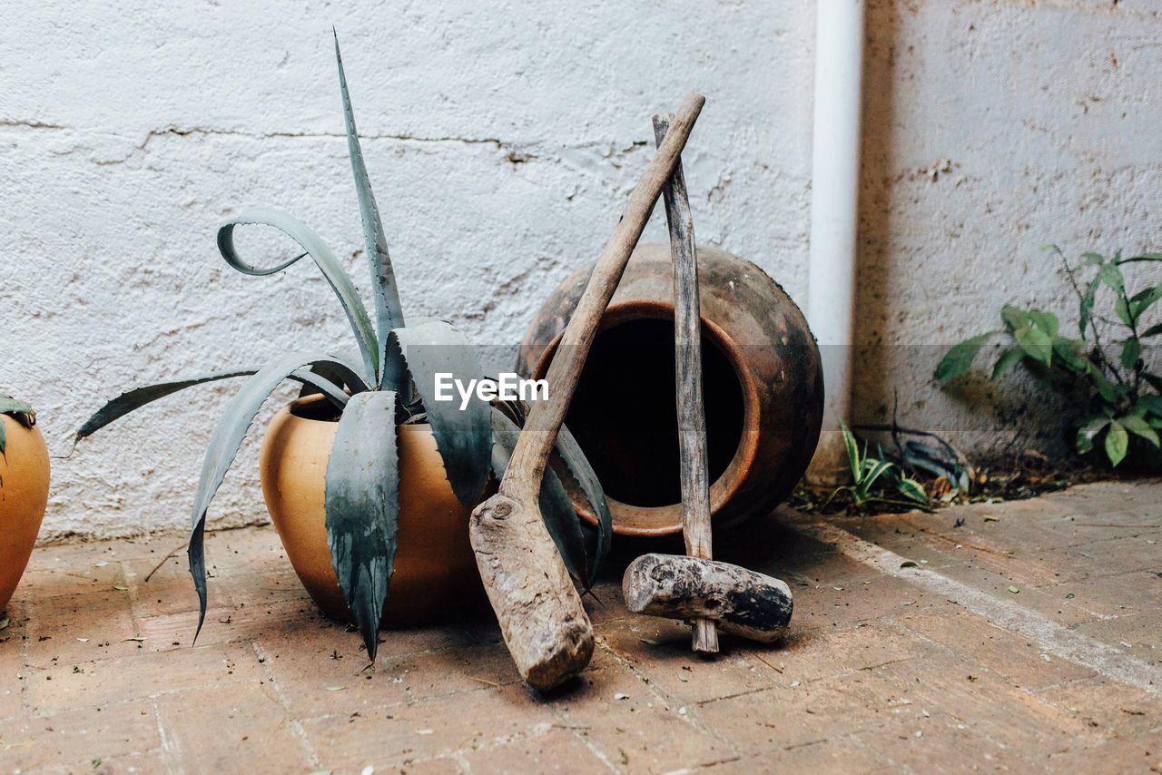 Potted plants by wall