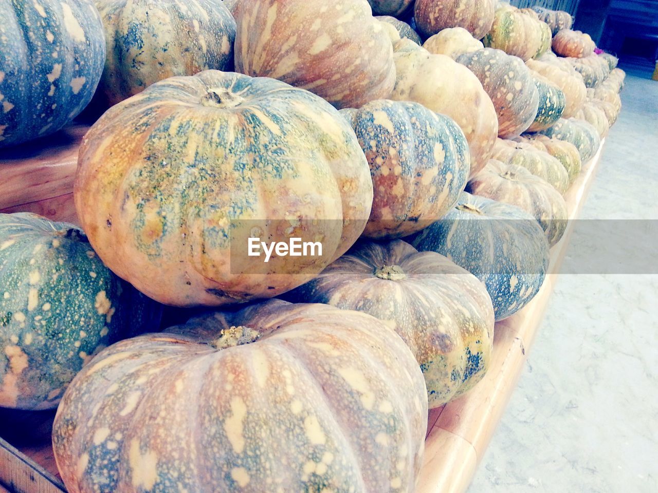 CLOSE-UP OF PUMPKINS FOR SALE