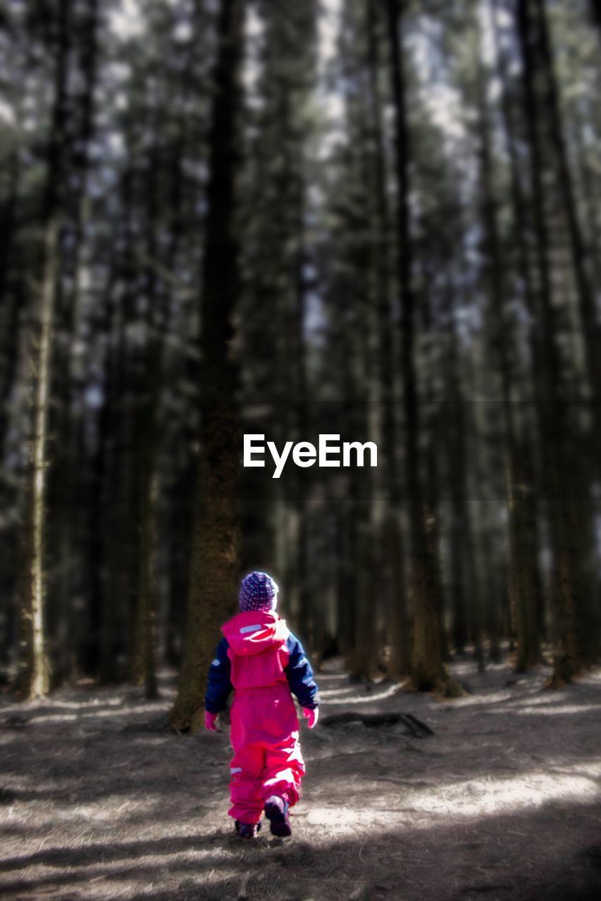 Rear view of girl walking in forest during winter
