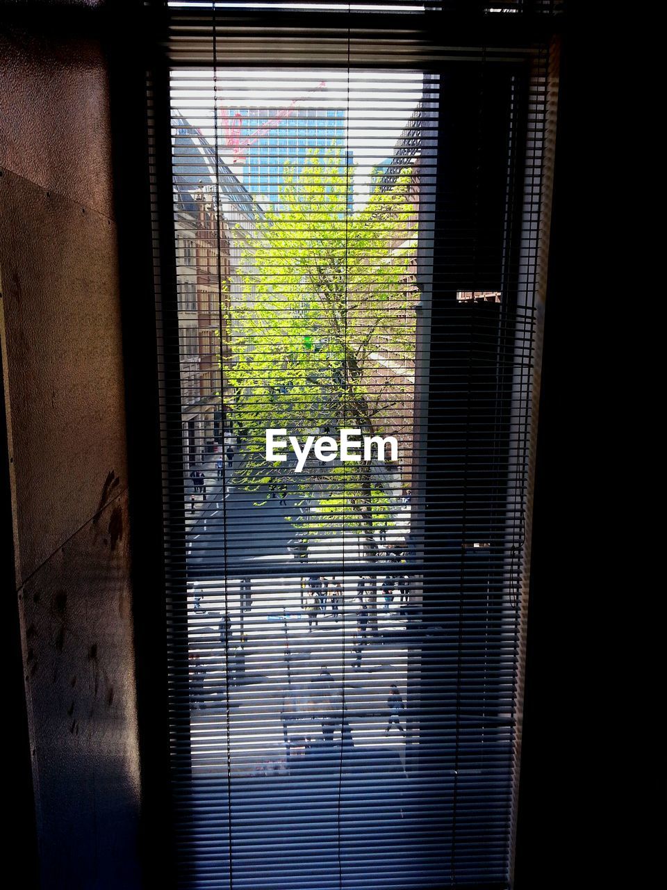 City street seen through window of house