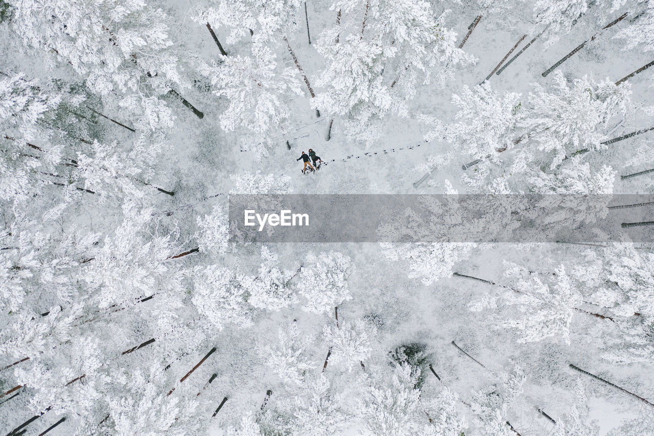 Aerial view of people lying down on snow