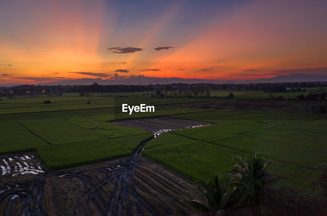 SCENIC VIEW OF AGRICULTURAL FIELD AGAINST SKY AT SUNSET