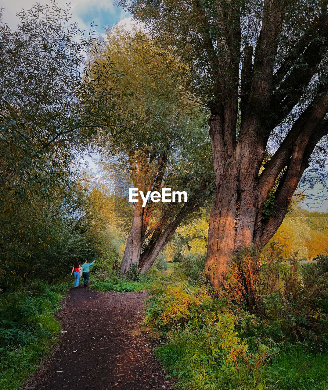 REAR VIEW OF MEN WALKING AMIDST TREES