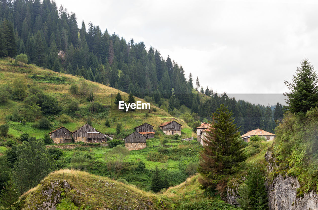 SCENIC VIEW OF TREES AND HOUSES BY MOUNTAINS