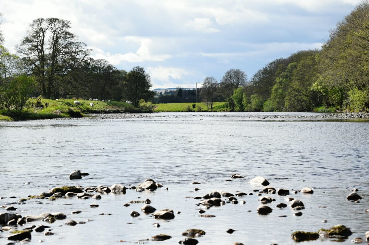 Green landscape in springtime