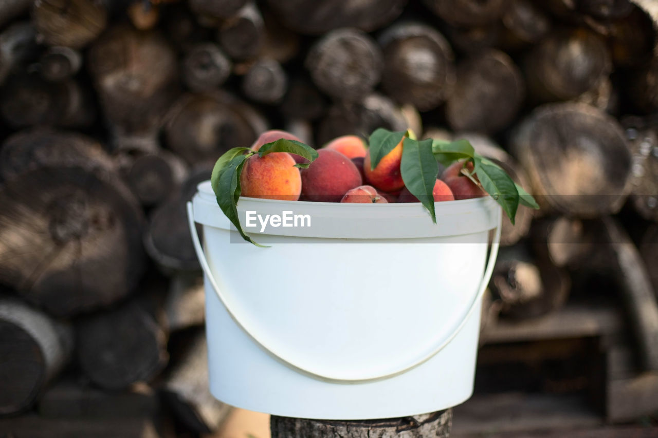 Ripe harvested farm peaches in a bucket in the garden stand against the felled trees.