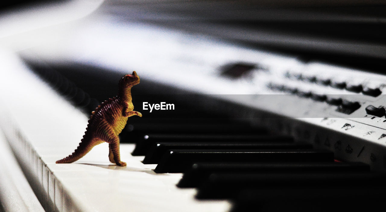 Close-up of dinosaur toy on piano