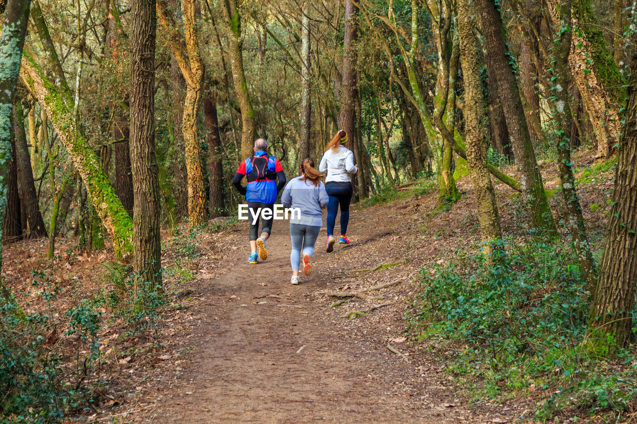 REAR VIEW OF WOMEN WALKING IN FOREST