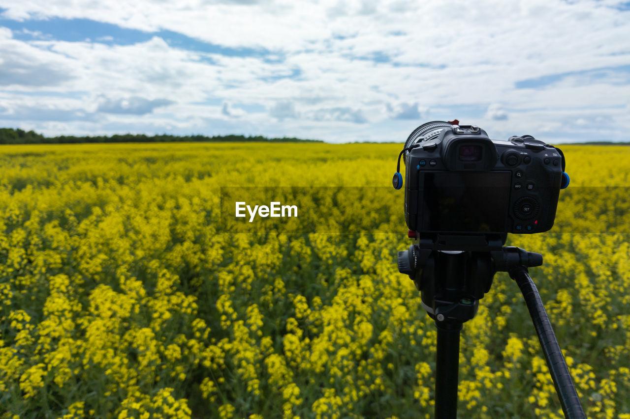 Modern professional mirrorless camera on tripod shooting yellow field on tripod, closeup