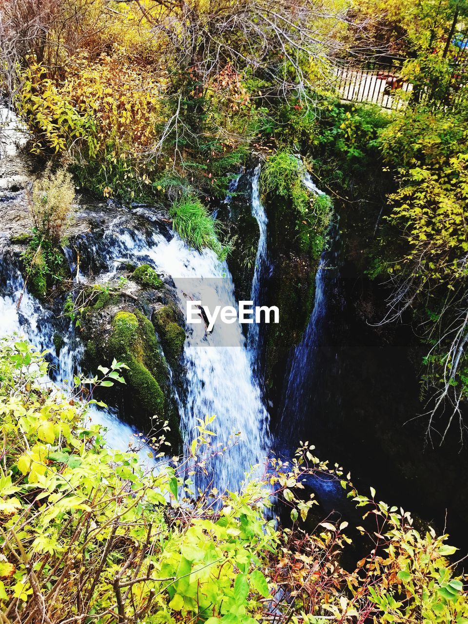 SCENIC VIEW OF WATERFALL AGAINST TREES IN FOREST