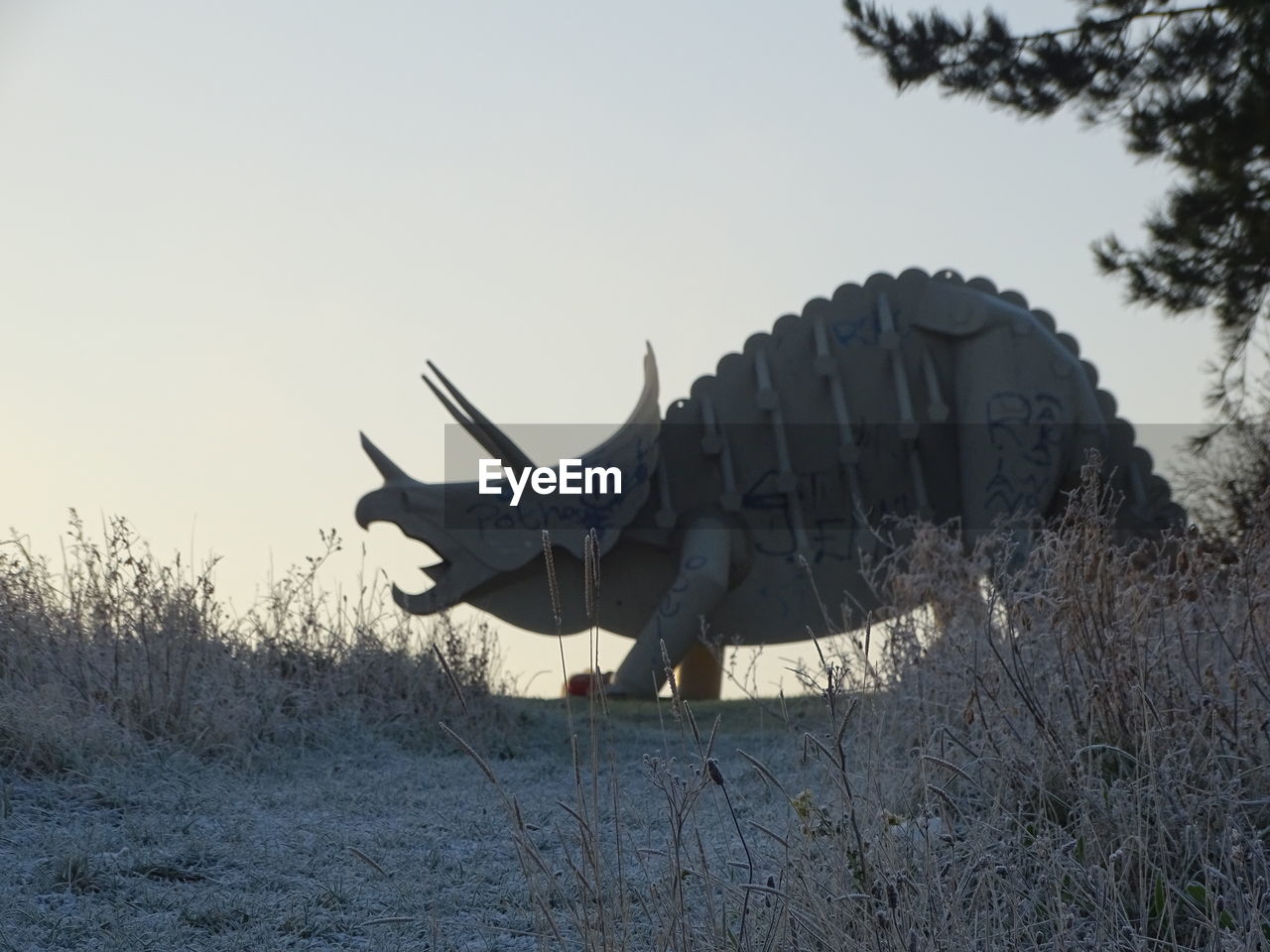 LOW ANGLE VIEW OF HORSE FLYING BY SKY