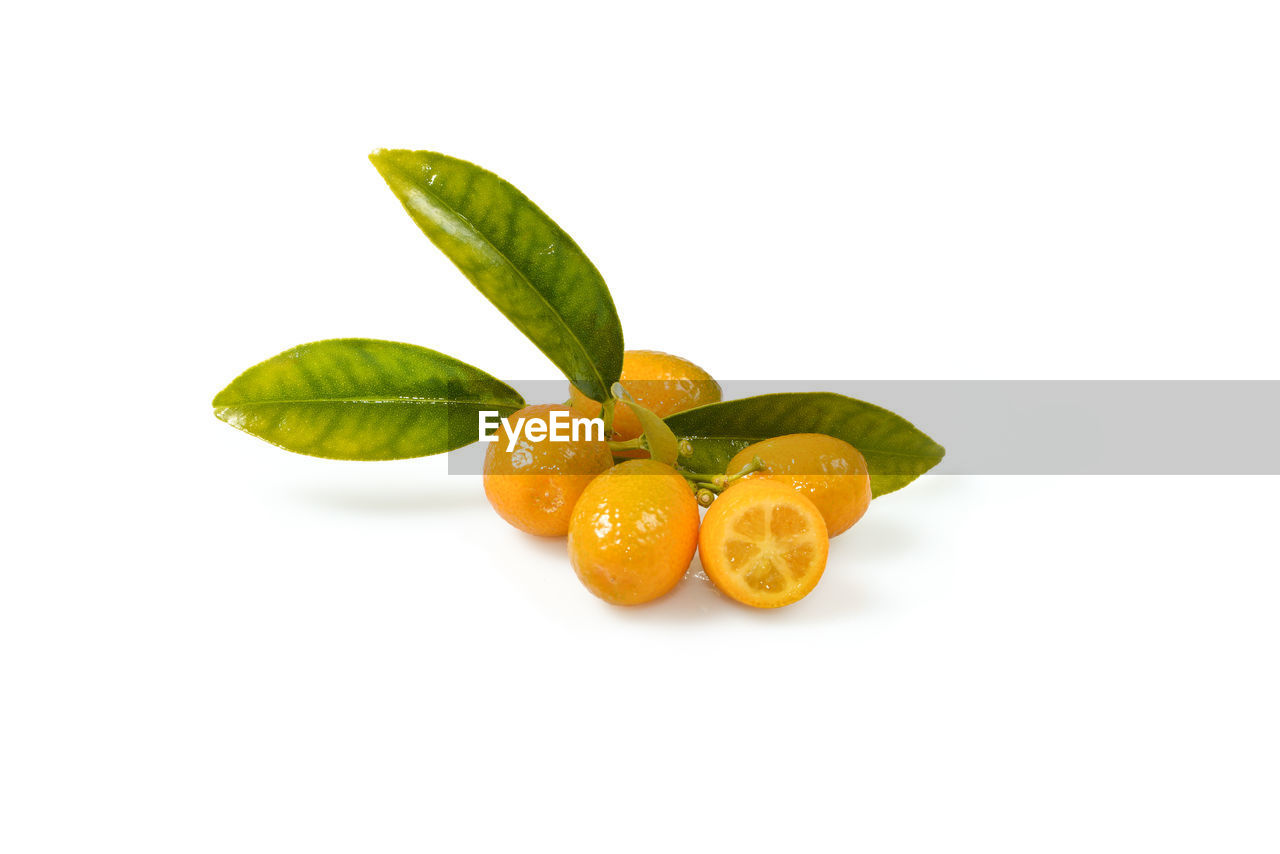 CLOSE-UP OF ORANGE FRUITS ON WHITE BACKGROUND