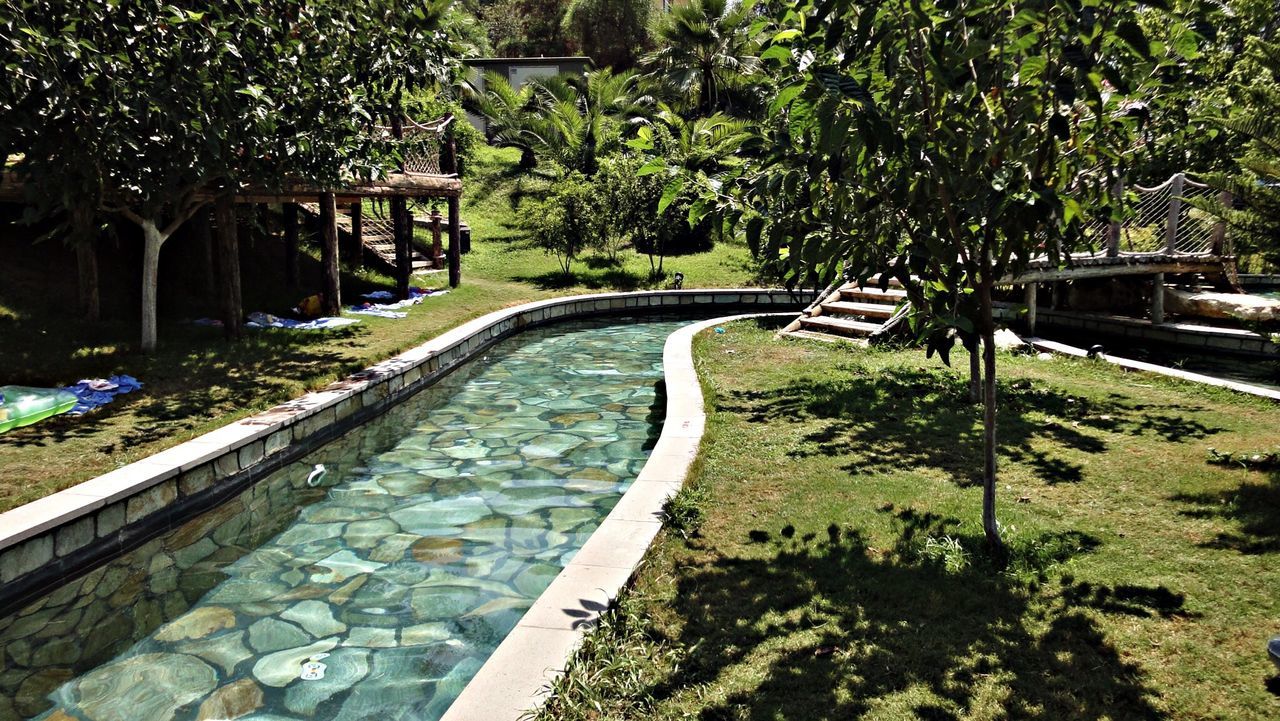 Stream amidst grassy field in park