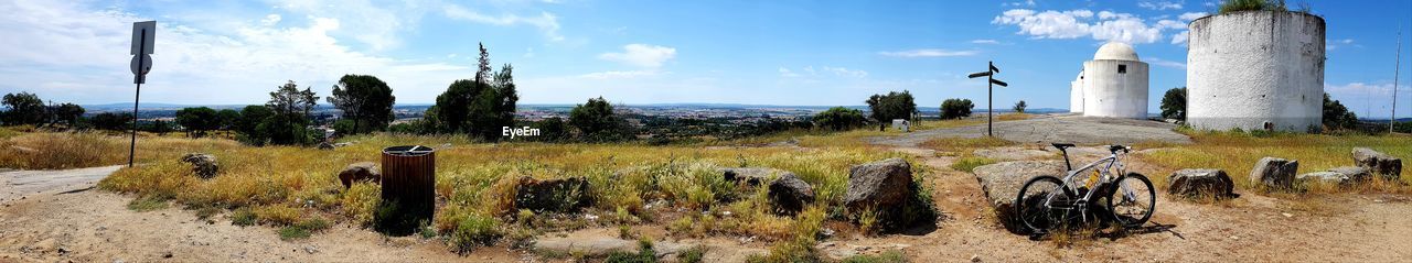 PANORAMIC SHOT OF PLANTS GROWING ON FIELD AGAINST SKY