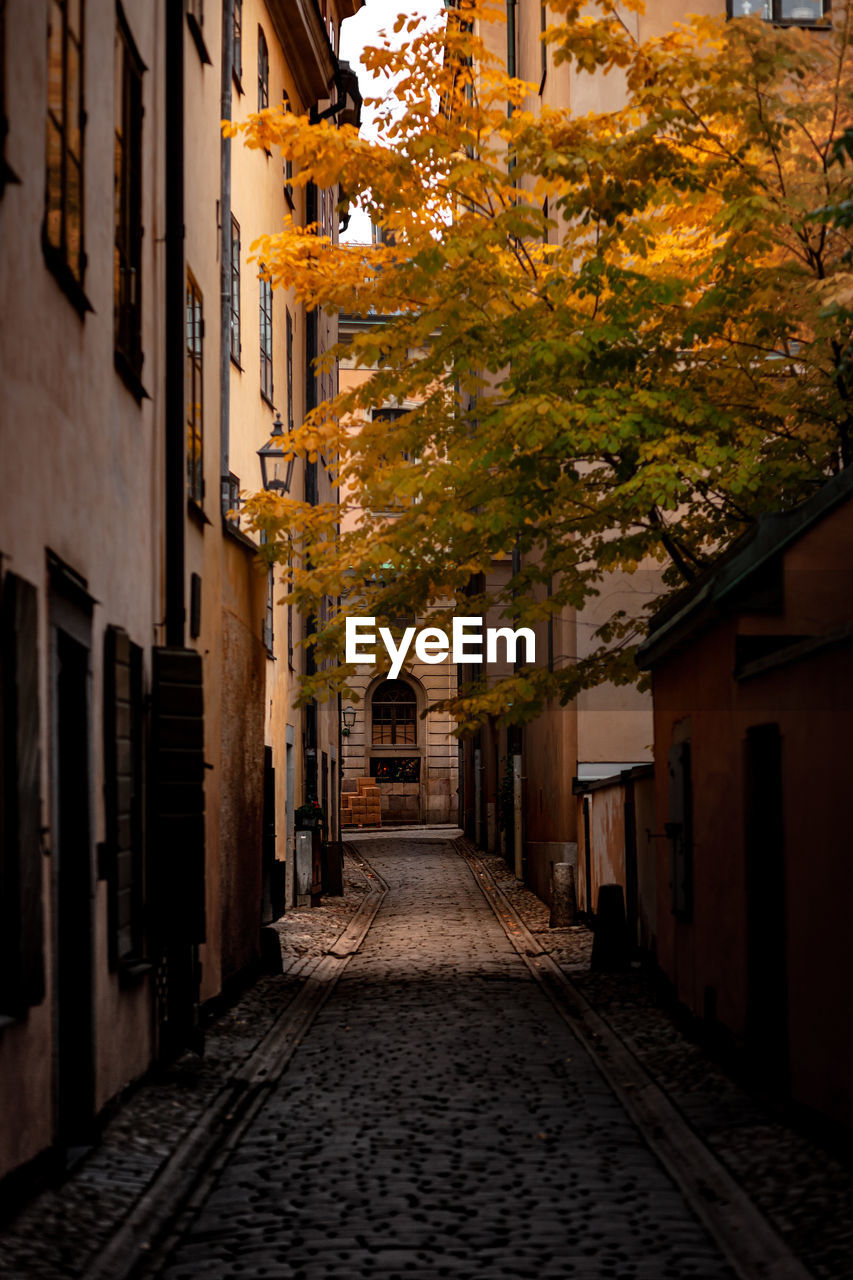 Narrow alley amidst buildings in city