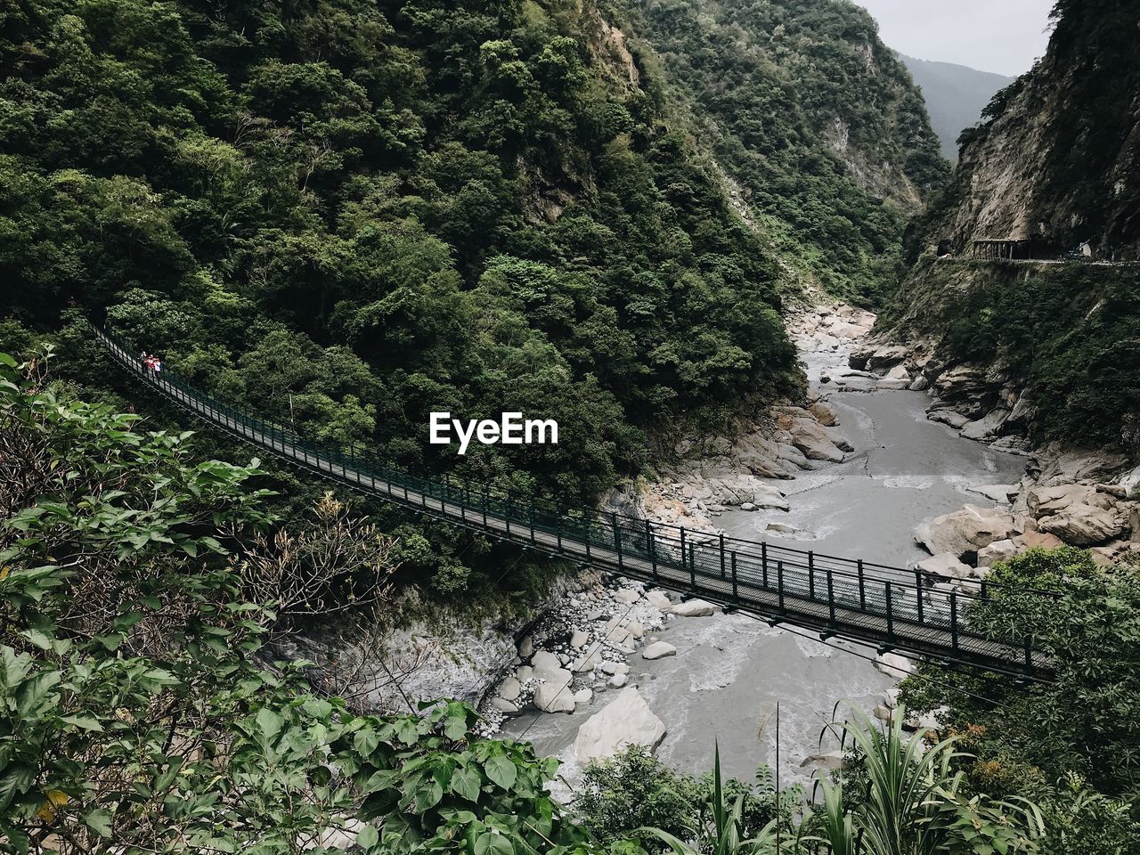 High angle view of bridge in forest