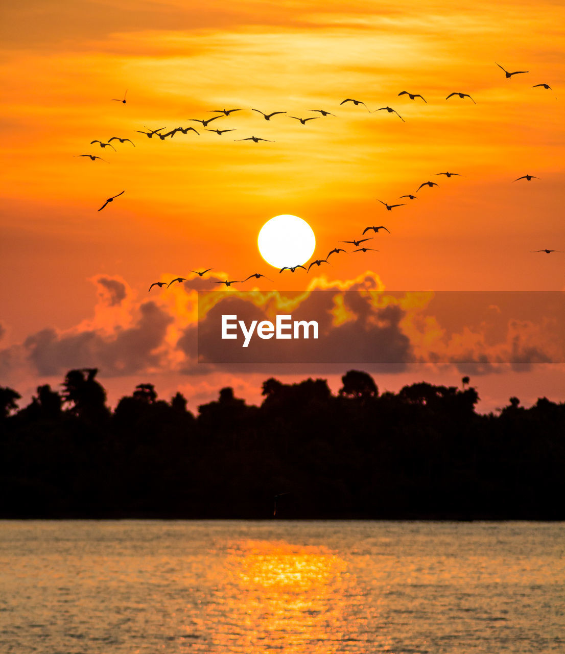 SCENIC VIEW OF SUNSET OVER SILHOUETTE TREES