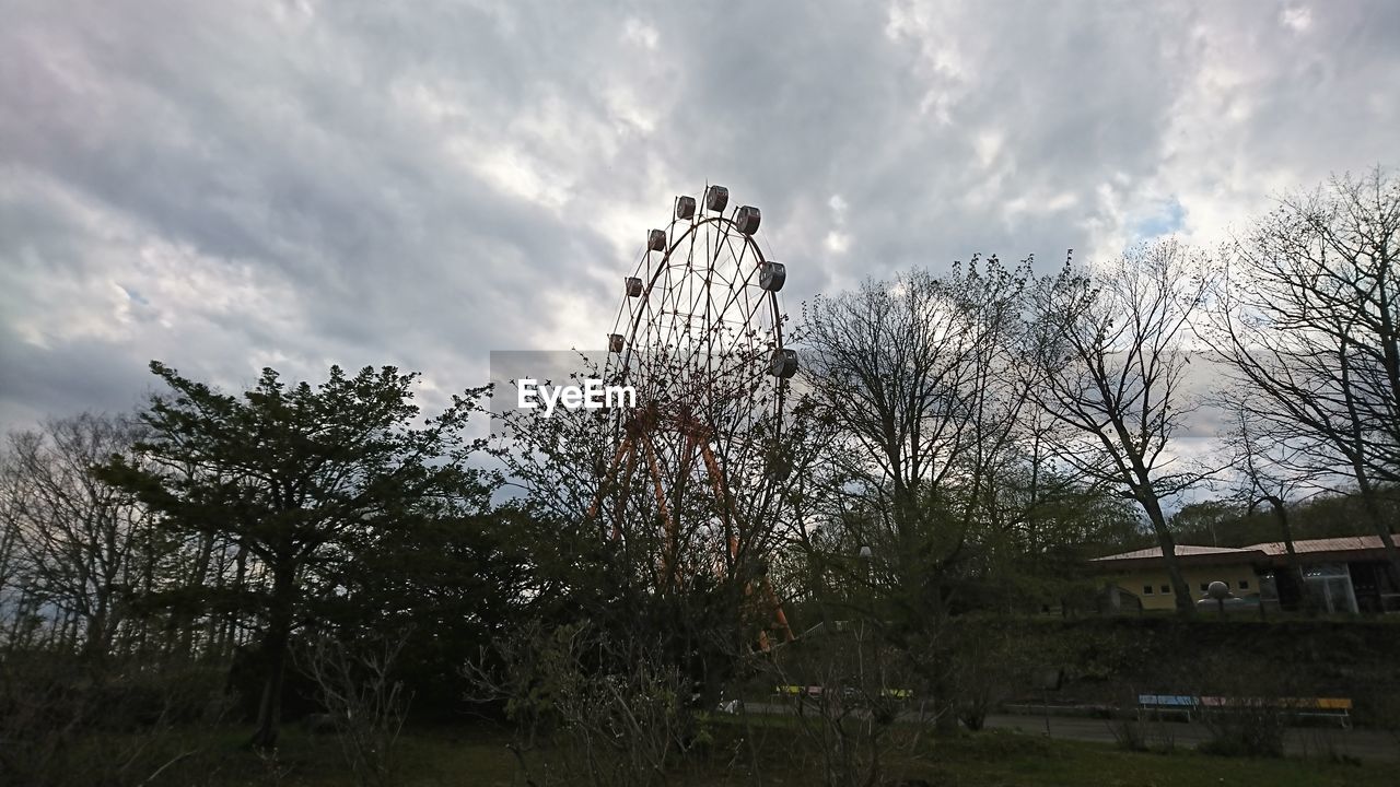 LOW ANGLE VIEW OF TREES AGAINST SKY