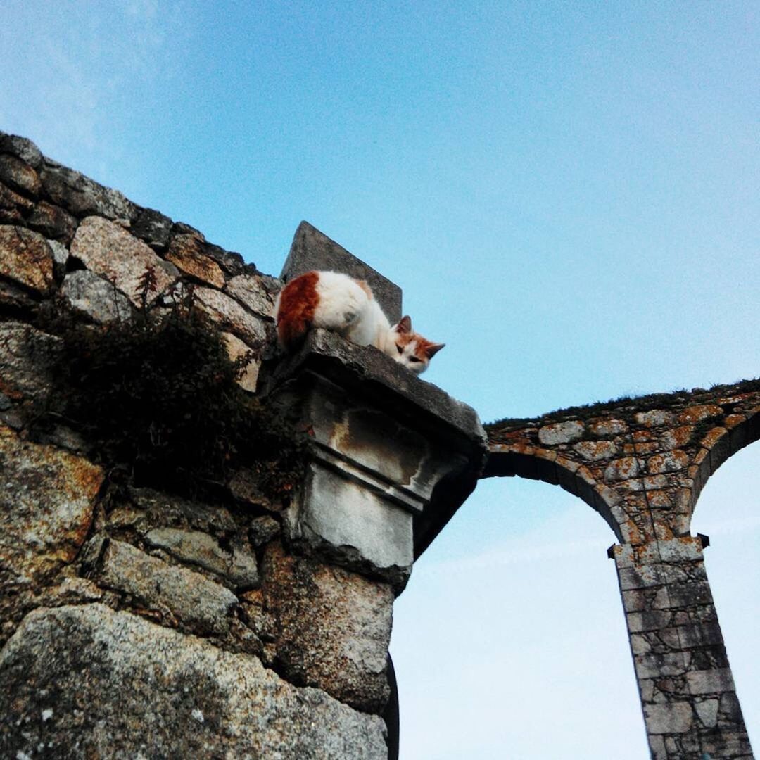 LOW ANGLE VIEW OF ANCIENT BUILDING AGAINST CLEAR SKY