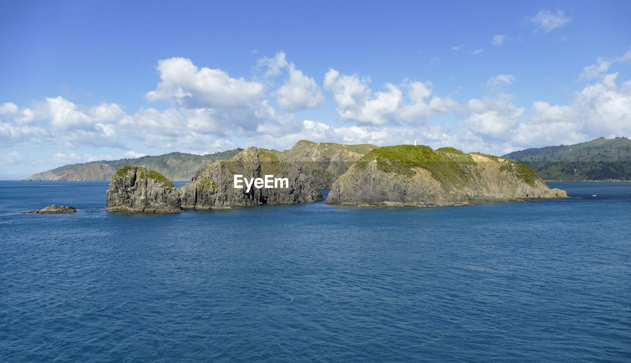 Coastal impression at queen charlotte sound in new zealand