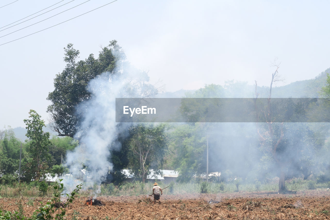 Rear view of man by burning plants on agricultural field