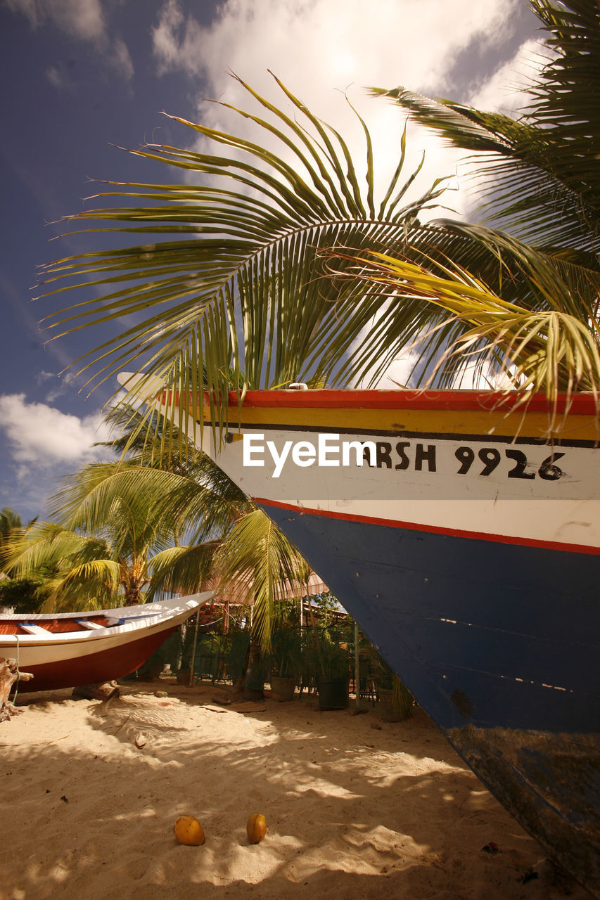 Boats moored by coconut palm trees at beach against sky