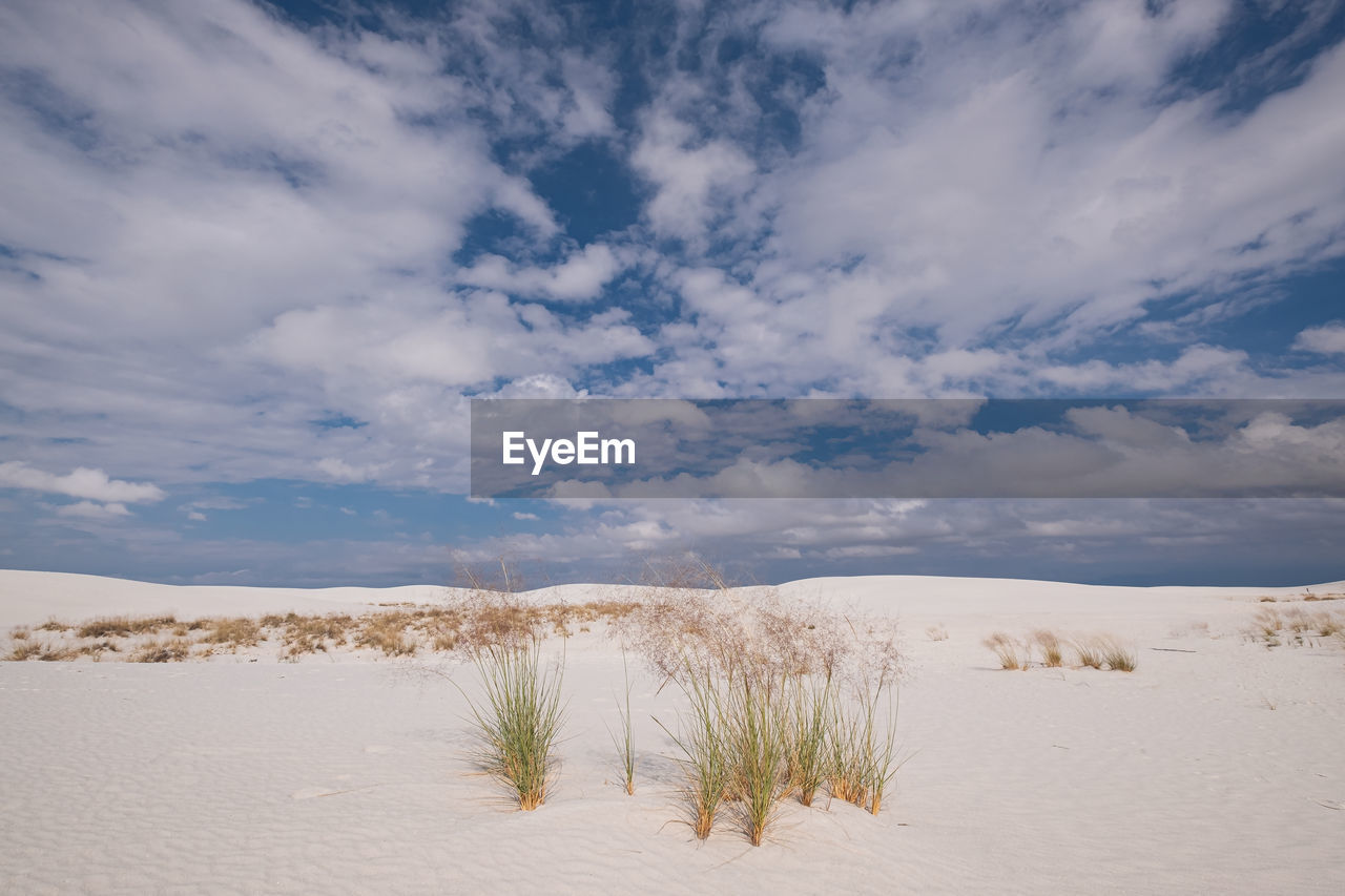 Scenic view of desert against sky