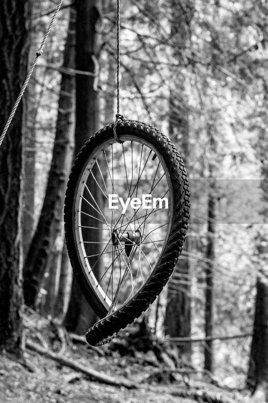 Low angle view of wheel hanging in forest