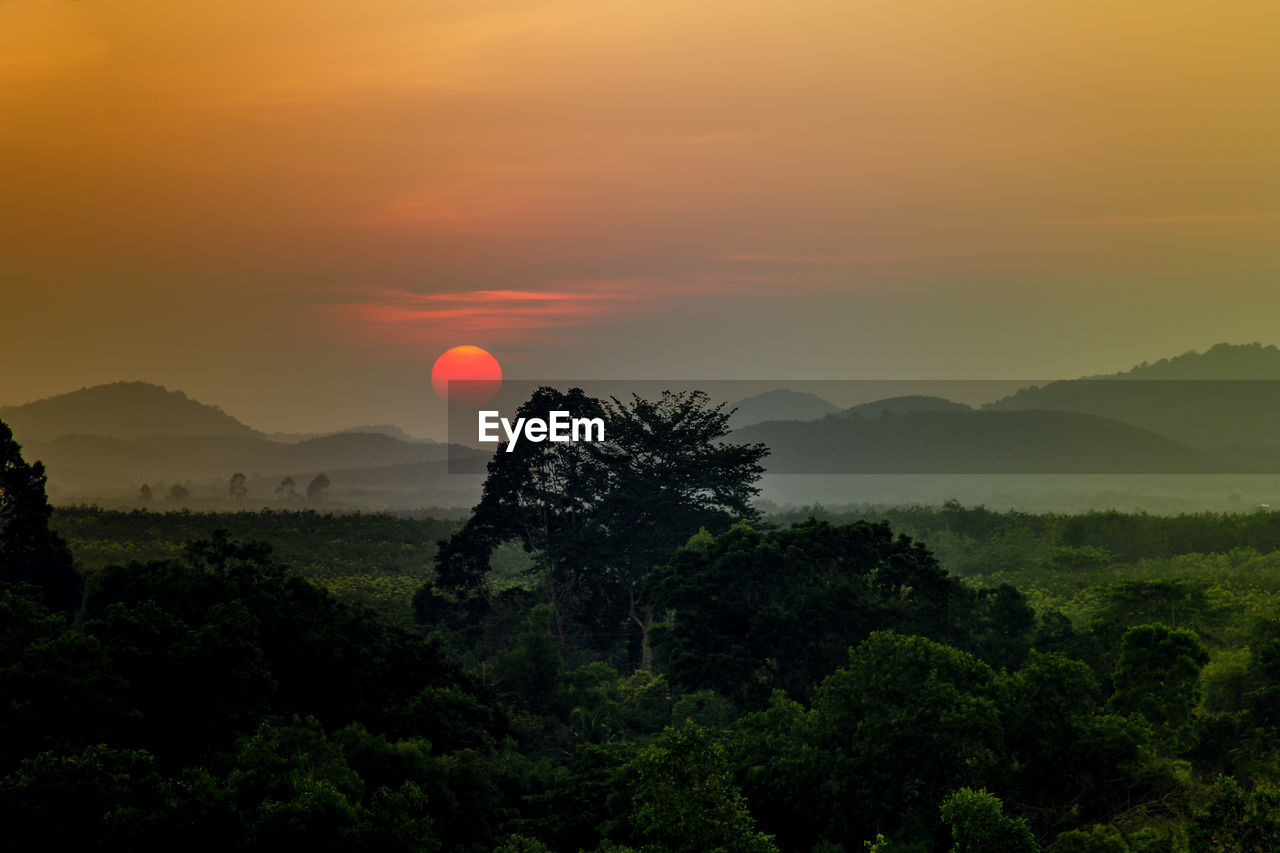 Silhouette trees on landscape against sky during sunset