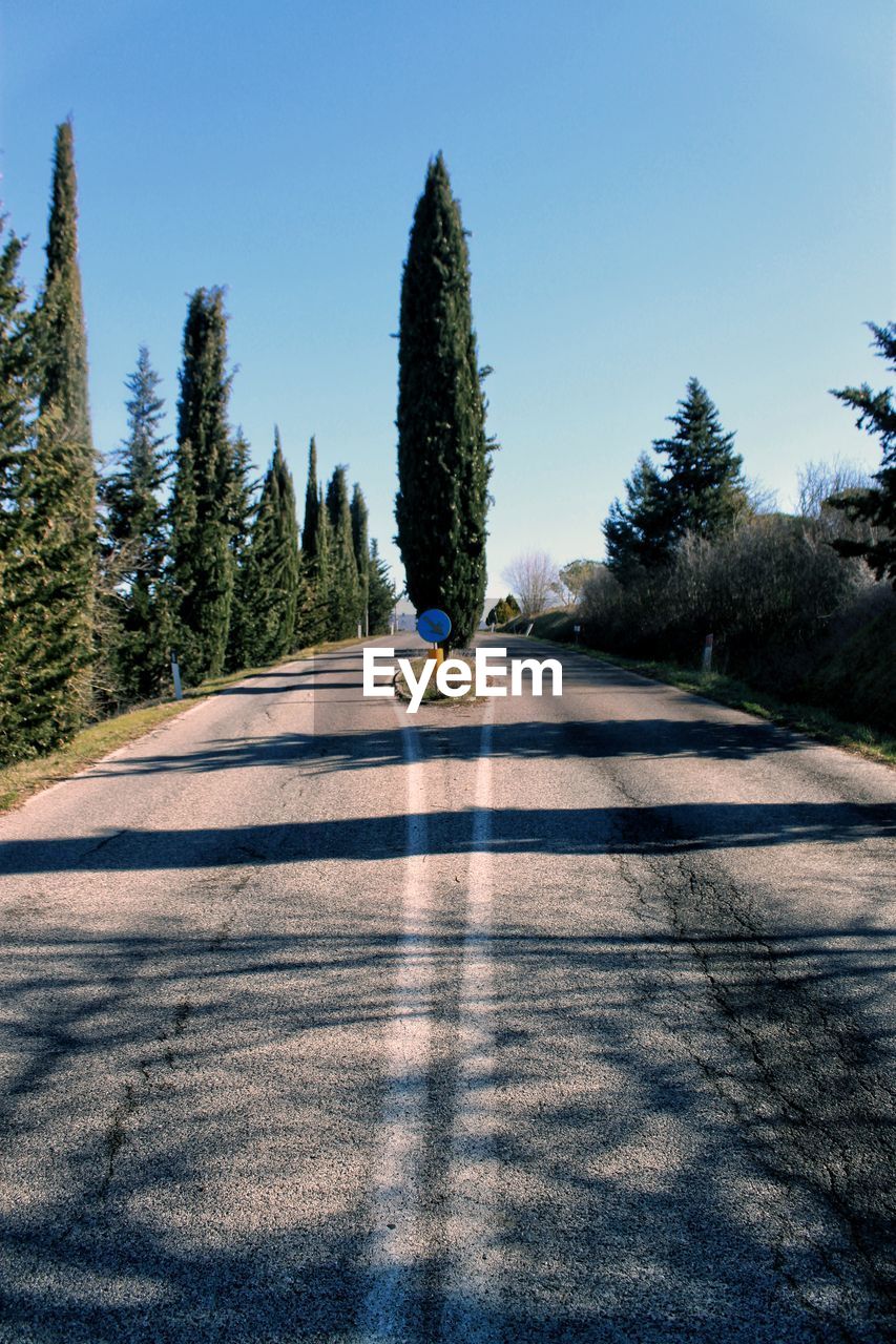 Road by trees against clear sky