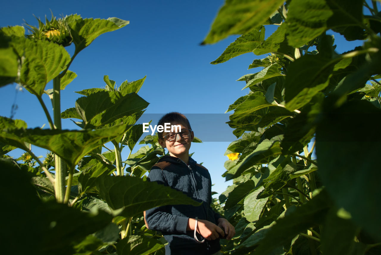 Portrait of smiling boy standing amidst plants against clear blue sky